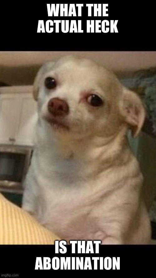 Concerned chihuahua | WHAT THE ACTUAL HECK IS THAT ABOMINATION | image tagged in concerned chihuahua | made w/ Imgflip meme maker
