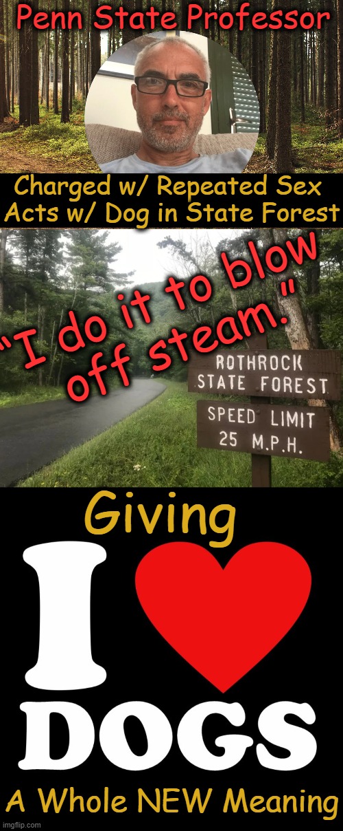 "Going From Penn State to State Penn is Quite a Leap" ~~ Anthony R | Penn State Professor; Charged w/ Repeated Sex 
Acts w/ Dog in State Forest; “I do it to blow 
off steam.”; Giving; A Whole NEW Meaning | image tagged in dark humor,professor,dogs,steam,wtf,who are you | made w/ Imgflip meme maker