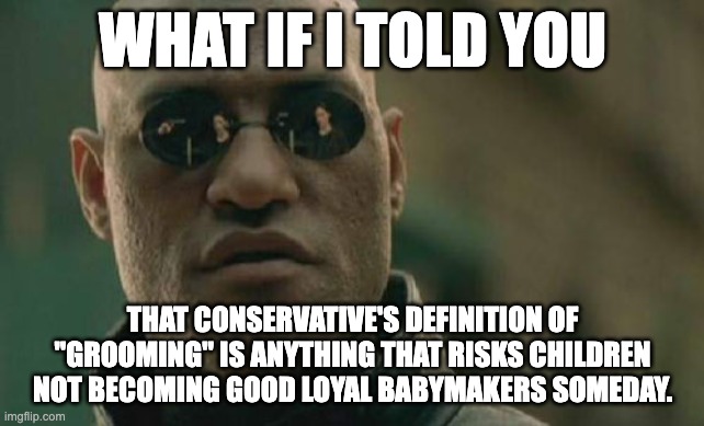 More Conservative Projection | WHAT IF I TOLD YOU; THAT CONSERVATIVE'S DEFINITION OF "GROOMING" IS ANYTHING THAT RISKS CHILDREN NOT BECOMING GOOD LOYAL BABYMAKERS SOMEDAY. | image tagged in memes,matrix morpheus,groomer,lgbtq,conservatives | made w/ Imgflip meme maker