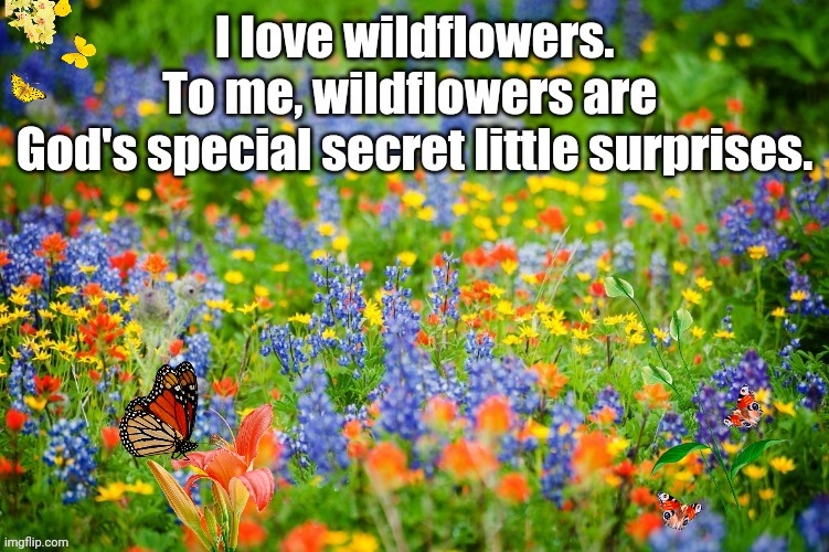 ✿ Wildflowers ✿ | image tagged in butterflies,wildlife,serenity,keep calm | made w/ Imgflip meme maker