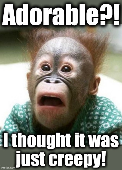 Shocked Monkey | Adorable?! I thought it was
just creepy! | image tagged in shocked monkey | made w/ Imgflip meme maker