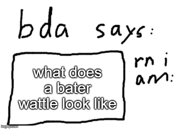 bater wattle | what does a bater wattle look like | image tagged in official badlydrawnaxolotl announcement temp | made w/ Imgflip meme maker