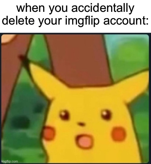 Surprised Pikachu | when you accidentally delete your imgflip account: | image tagged in surprised pikachu | made w/ Imgflip meme maker