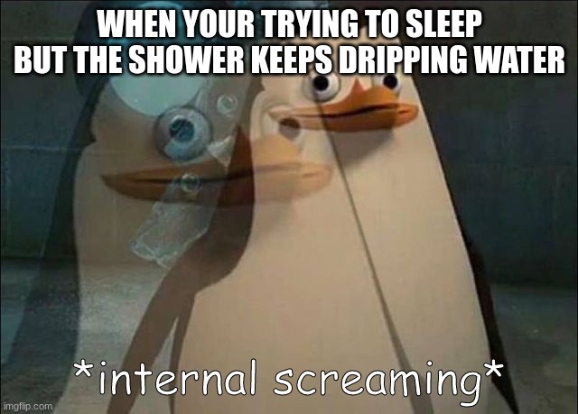 the worst sound ever | WHEN YOUR TRYING TO SLEEP BUT THE SHOWER KEEPS DRIPPING WATER | image tagged in private internal screaming | made w/ Imgflip meme maker