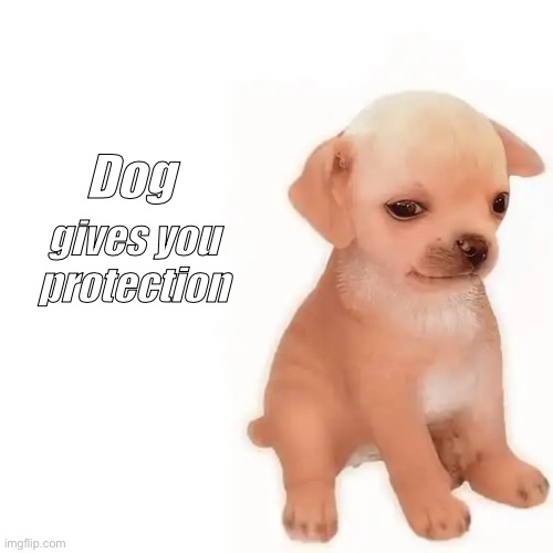 Making memes out of boredom #1 | Dog; gives you
protection | image tagged in unos pedillos | made w/ Imgflip meme maker