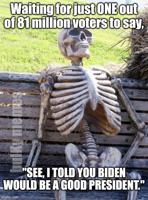 Eighty one million and not one voice of support | Waiting for just ONE out of 81 million voters to say, bulKy memes; "SEE, I TOLD YOU BIDEN WOULD BE A GOOD PRESIDENT." | image tagged in memes,waiting skeleton | made w/ Imgflip meme maker