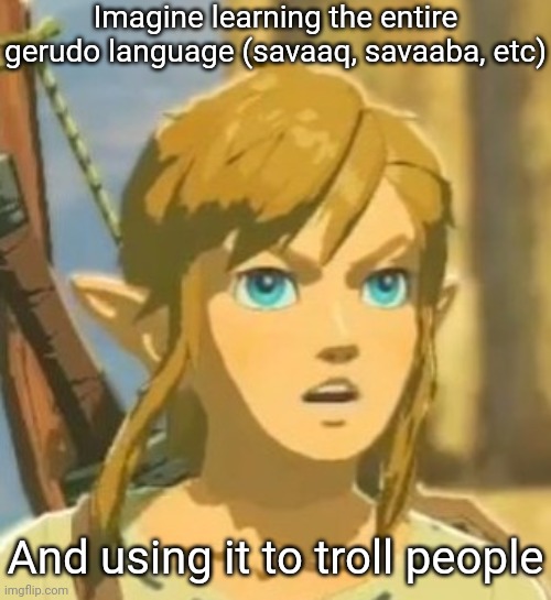 Just imagine the reaction after you greet someone with "savaaq" (if you know what they all mean can you tell me) | Imagine learning the entire gerudo language (savaaq, savaaba, etc); And using it to troll people | image tagged in offended link | made w/ Imgflip meme maker