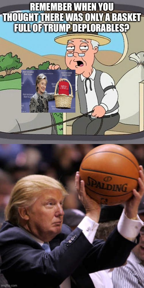 REMEMBER WHEN YOU THOUGHT THERE WAS ONLY A BASKET FULL OF TRUMP DEPLORABLES? | image tagged in memes,pepperidge farm remembers,trump basketball | made w/ Imgflip meme maker