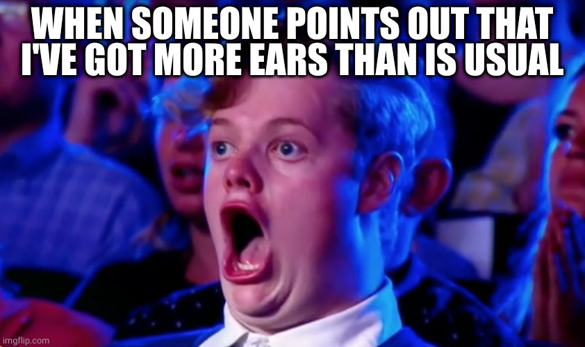 Two left ears! And the final front ear | WHEN SOMEONE POINTS OUT THAT I'VE GOT MORE EARS THAN IS USUAL | image tagged in surprised open mouth,ears,more,visual pun | made w/ Imgflip meme maker