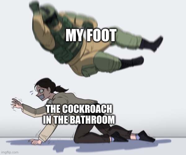 Cockroach versus foot | MY FOOT; THE COCKROACH IN THE BATHROOM | image tagged in rainbow six - fuze the hostage | made w/ Imgflip meme maker