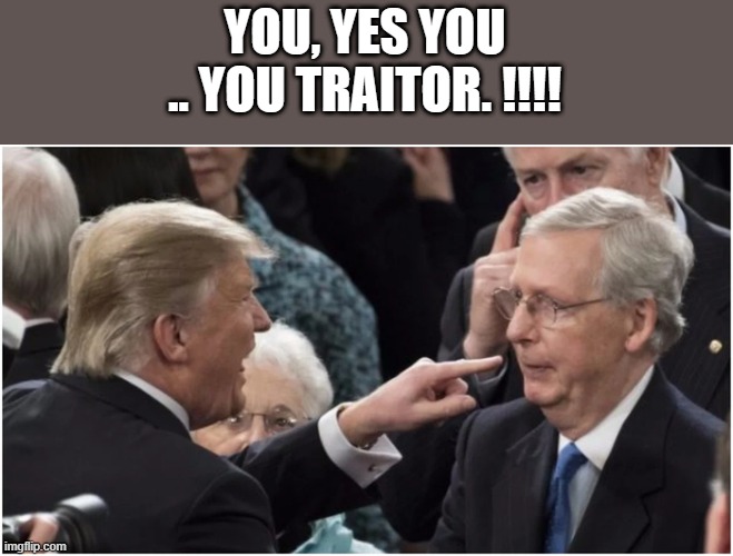 TRUMP HATES RINOrats.. | YOU, YES YOU .. YOU TRAITOR. !!!! | image tagged in trump,turtle | made w/ Imgflip meme maker