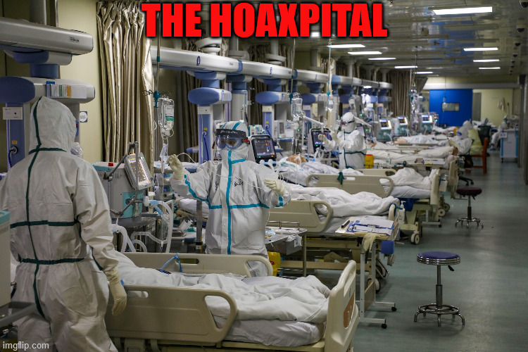 Hospital beds | THE HOAXPITAL | image tagged in hospital beds | made w/ Imgflip meme maker