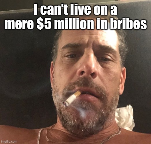Hunter Biden | I can’t live on a mere $5 million in bribes | image tagged in hunter biden | made w/ Imgflip meme maker