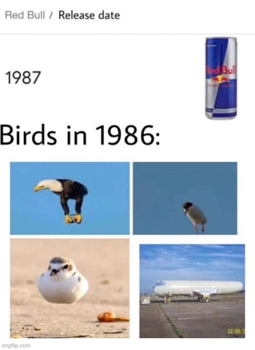 image tagged in memes | made w/ Imgflip meme maker