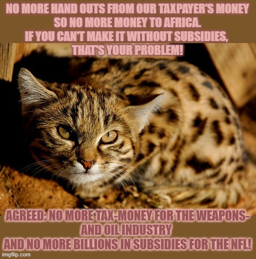 This #lolcat wonders who should receive government hand outs | NO MORE HAND OUTS FROM OUR TAXPAYER'S MONEY
SO NO MORE MONEY TO AFRICA.
IF YOU CAN'T MAKE IT WITHOUT SUBSIDIES, 
THAT'S YOUR PROBLEM! AGREED: NO MORE TAX-MONEY FOR THE WEAPONS-
AND OIL INDUSTRY 
AND NO MORE BILLIONS IN SUBSIDIES FOR THE NFL! | image tagged in hand outs,subsidies,africa,lolcat,think about it,double standards | made w/ Imgflip meme maker