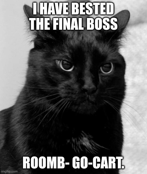 Black cat pissed | I HAVE BESTED THE FINAL BOSS ROOMB- GO-CART. | image tagged in black cat pissed | made w/ Imgflip meme maker