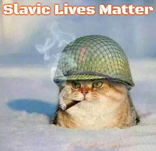 War Cat | Slavic Lives Matter | image tagged in war cat,slavic,russo-ukrainian war | made w/ Imgflip meme maker