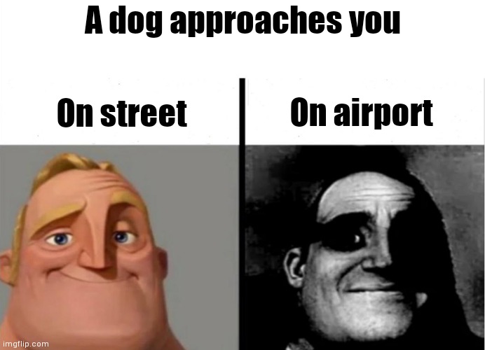 I swear i don't have anything on me | A dog approaches you; On street; On airport | image tagged in teacher's copy,airport,dog,mr incredible | made w/ Imgflip meme maker