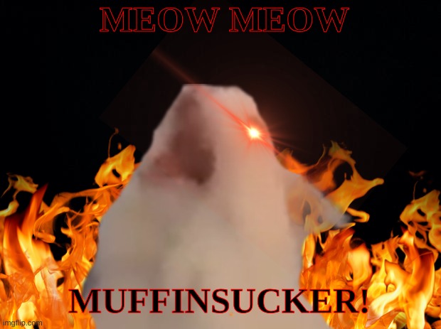 MEOW MEOW MUFFINSUCKER! | made w/ Imgflip meme maker