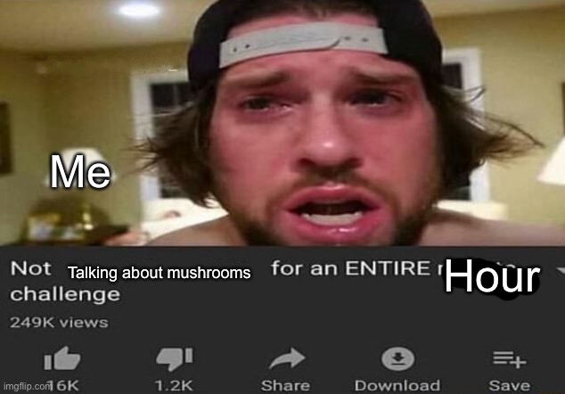 Me fr | Me; Hour; Talking about mushrooms | image tagged in not _____ for an entire minute - challenge | made w/ Imgflip meme maker