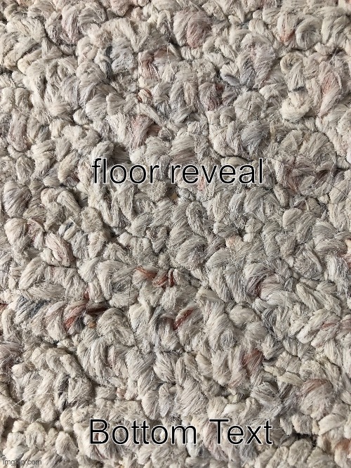 floor reveal | floor reveal; Bottom Text | image tagged in floor,reveal,real,gone wrong | made w/ Imgflip meme maker