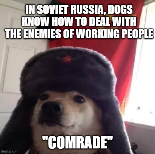 Soviet dogz and otherz | IN SOVIET RUSSIA, DOGS KNOW HOW TO DEAL WITH THE ENEMIES OF WORKING PEOPLE; "COMRADE" | image tagged in communist dog | made w/ Imgflip meme maker