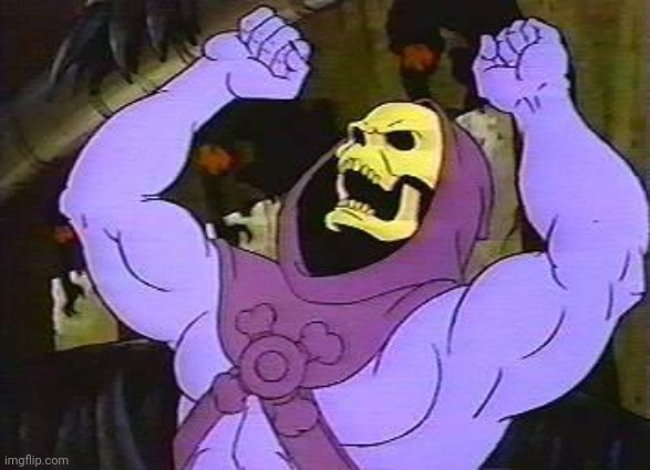 You Fool Skeletor | image tagged in you fool skeletor | made w/ Imgflip meme maker