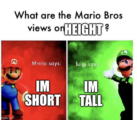 wow.so funny that i forgot to laugh | HEIGHT; IM SHORT; IM TALL | image tagged in mario bros views,memes,funny | made w/ Imgflip meme maker