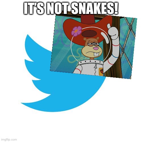 Wow | IT’S NOT SNAKES! | image tagged in twitter birds says | made w/ Imgflip meme maker