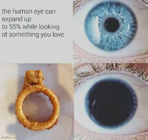 The onion ring | image tagged in eye pupil expand,onion,ring,onion ring,onion rings,memes | made w/ Imgflip meme maker