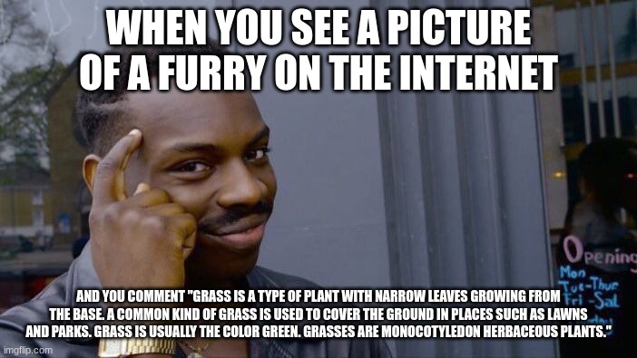 based | WHEN YOU SEE A PICTURE OF A FURRY ON THE INTERNET; AND YOU COMMENT "GRASS IS A TYPE OF PLANT WITH NARROW LEAVES GROWING FROM THE BASE. A COMMON KIND OF GRASS IS USED TO COVER THE GROUND IN PLACES SUCH AS LAWNS AND PARKS. GRASS IS USUALLY THE COLOR GREEN. GRASSES ARE MONOCOTYLEDON HERBACEOUS PLANTS." | image tagged in memes,roll safe think about it | made w/ Imgflip meme maker