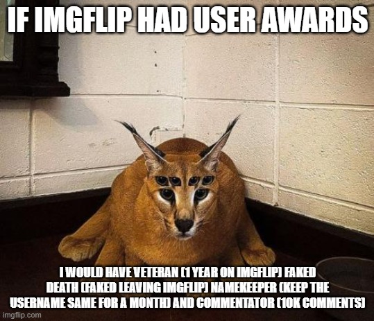 bibically accurate floppa | IF IMGFLIP HAD USER AWARDS; I WOULD HAVE VETERAN (1 YEAR ON IMGFLIP) FAKED DEATH (FAKED LEAVING IMGFLIP) NAMEKEEPER (KEEP THE USERNAME SAME FOR A MONTH) AND COMMENTATOR (10K COMMENTS) | image tagged in bibically accurate floppa | made w/ Imgflip meme maker