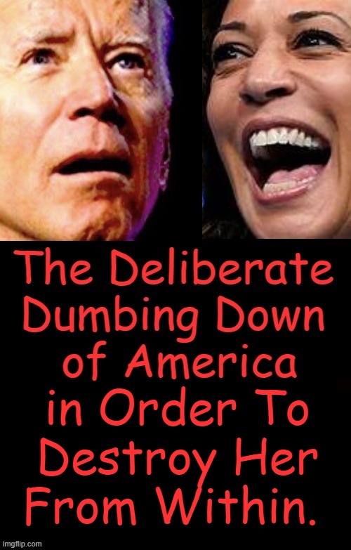 Our Idiocracy's Leaders; an installed liar w/ dementia & a cackling hyena chosen on the basis of her skin color & sex. | in Order To 

Destroy Her 

From Within. | image tagged in politics,joe biden,kamala harris,ideocracy,no standards,dumbing down america | made w/ Imgflip meme maker