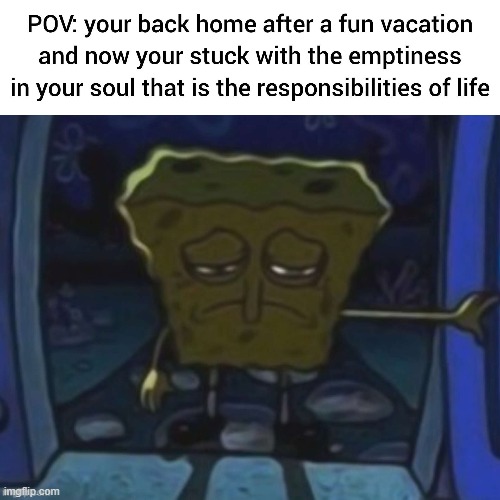 image tagged in memes | made w/ Imgflip meme maker