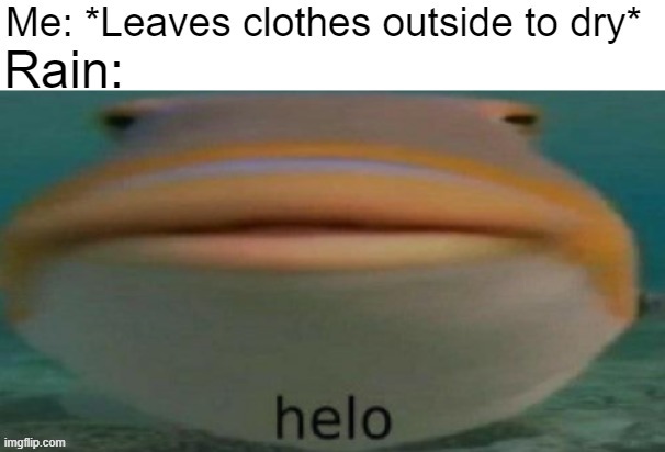 image tagged in memes | made w/ Imgflip meme maker