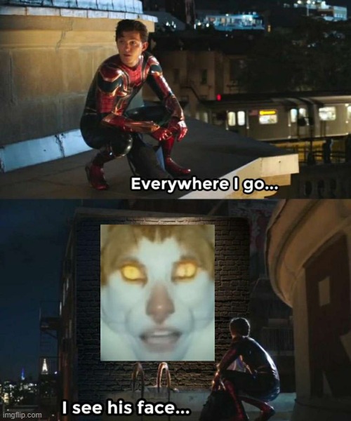 image tagged in memes | made w/ Imgflip meme maker