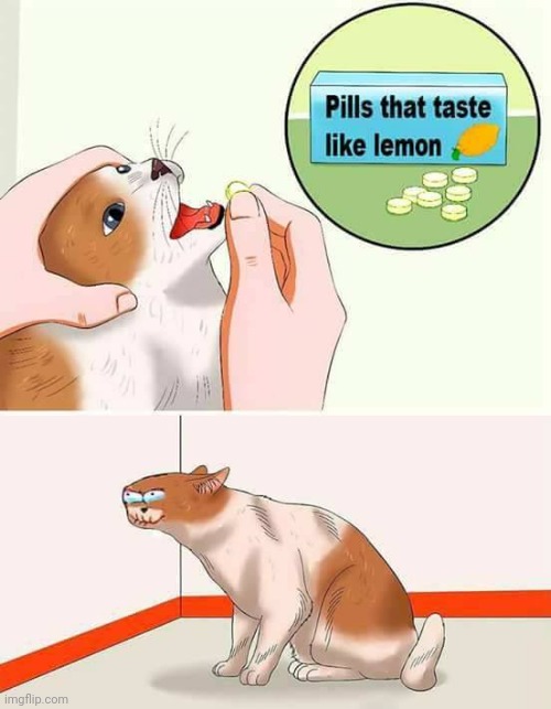 pills that taste like lemon | image tagged in pills that taste like lemon | made w/ Imgflip meme maker