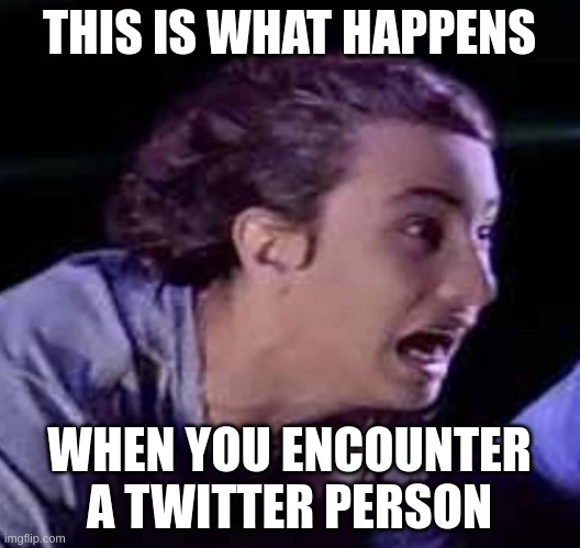 pure unadulterated fear | THIS IS WHAT HAPPENS; WHEN YOU ENCOUNTER A TWITTER PERSON | image tagged in pure unadulterated fear | made w/ Imgflip meme maker
