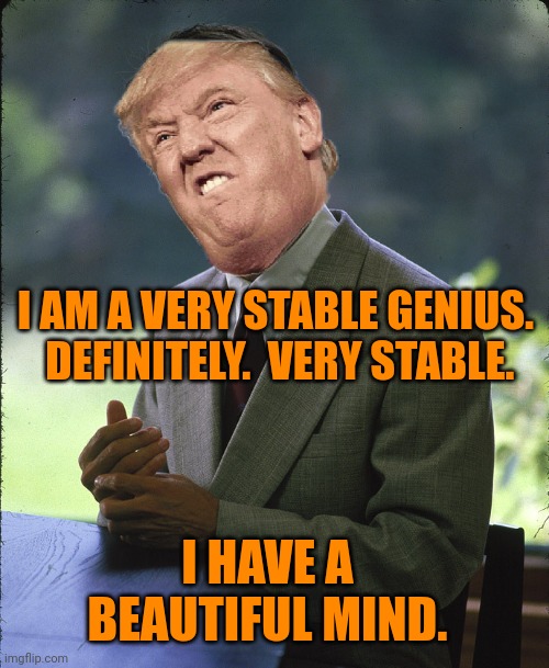 I AM A VERY STABLE GENIUS.  DEFINITELY.  VERY STABLE. I HAVE A BEAUTIFUL MIND. | image tagged in donald trump is an idiot,beautiful mind,rain man,dementia donny,boxes | made w/ Imgflip meme maker
