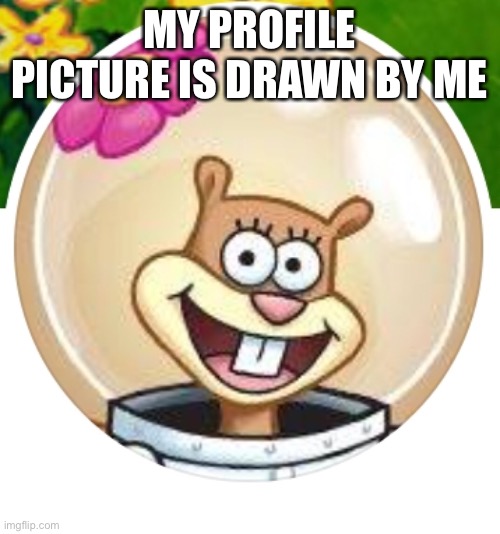 MY PROFILE PICTURE IS DRAWN BY ME | made w/ Imgflip meme maker