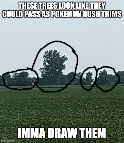 I bet I'm the first person to make fakemon based on the shapes of trees I saw. | THESE TREES LOOK LIKE THEY COULD PASS AS POKEMON BUSH TRIMS; IMMA DRAW THEM | image tagged in trees,fakemon,inspired by trees | made w/ Imgflip meme maker