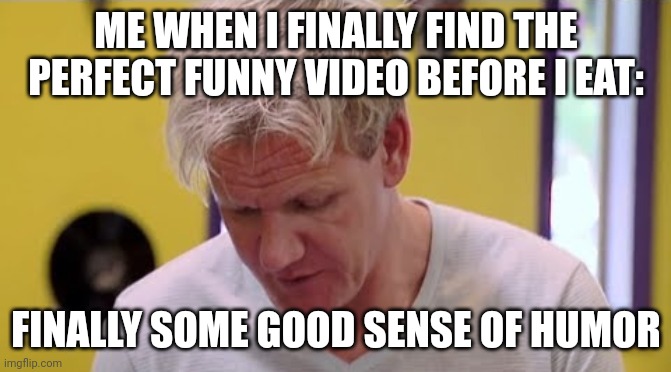 I did not copy this from another guy | ME WHEN I FINALLY FIND THE PERFECT FUNNY VIDEO BEFORE I EAT:; FINALLY SOME GOOD SENSE OF HUMOR | image tagged in finally some good food | made w/ Imgflip meme maker