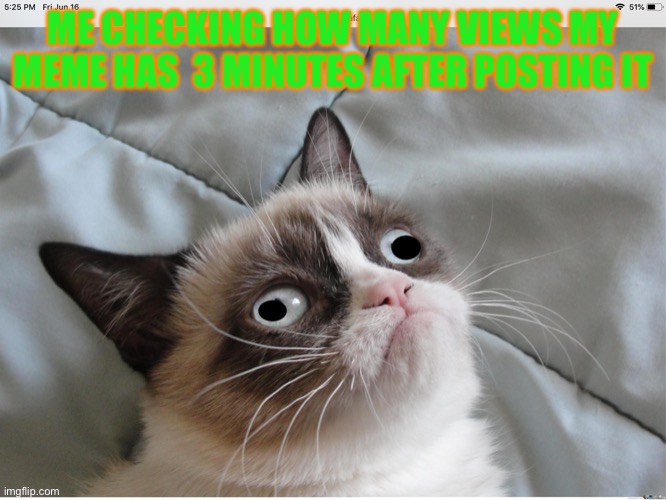 Waiting....... | ME CHECKING HOW MANY VIEWS MY MEME HAS  3 MINUTES AFTER POSTING IT | image tagged in cat,waiting,memes | made w/ Imgflip meme maker