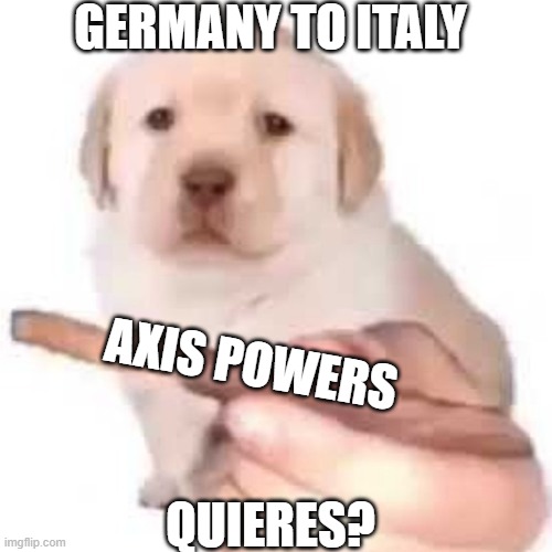 no title moment | GERMANY TO ITALY; AXIS POWERS; QUIERES? | image tagged in quieres,history memes | made w/ Imgflip meme maker