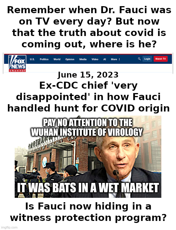 Remember When Dr. Fauci Was On TV Every Day? | image tagged in dr fauci,covid,wuhan,lies,no one bats an eye | made w/ Imgflip meme maker