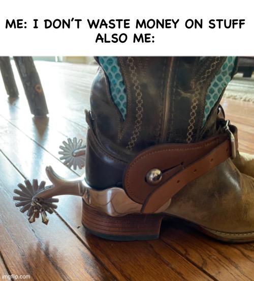 My Spending Spurts | ME: I DON’T WASTE MONEY ON STUFF
ALSO ME: | image tagged in funny,meme,money,spurs | made w/ Imgflip meme maker