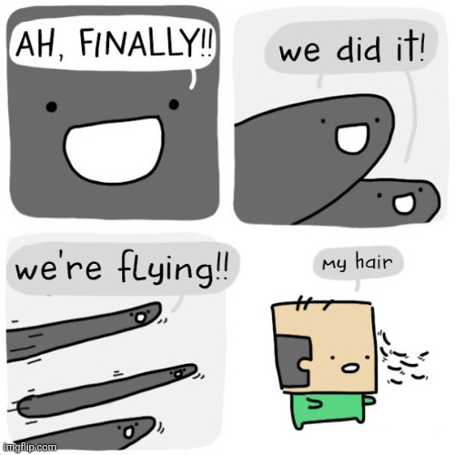 Hairy flies | image tagged in hair,flies,fly,bald,comics,comics/cartoons | made w/ Imgflip meme maker