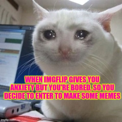 Crying cat | WHEN IMGFLIP GIVES YOU ANXIETY BUT YOU'RE BORED, SO YOU DECIDE TO ENTER TO MAKE SOME MEMES | image tagged in crying cat | made w/ Imgflip meme maker