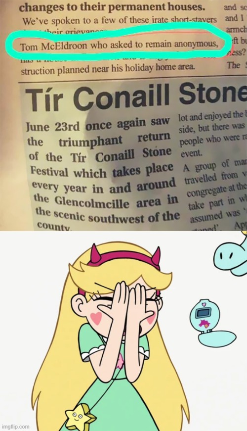 image tagged in star butterfly severe facepalm,facepalm,memes,funny | made w/ Imgflip meme maker