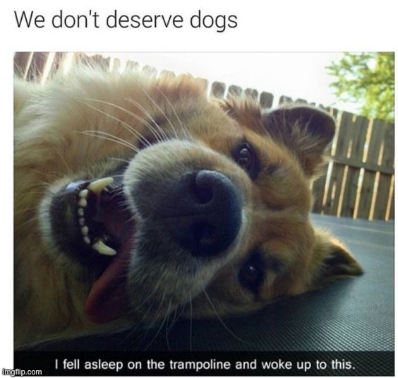 image tagged in memes,funny | made w/ Imgflip meme maker